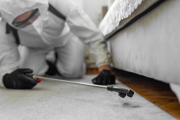 Professional Bed Bug Control technician working in Rockwell, NC