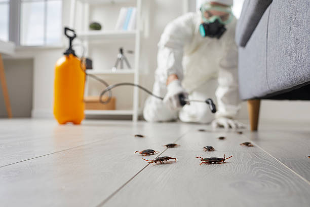 Trusted Fumigation Services service in Rockwell, NC - Nex Pest Control