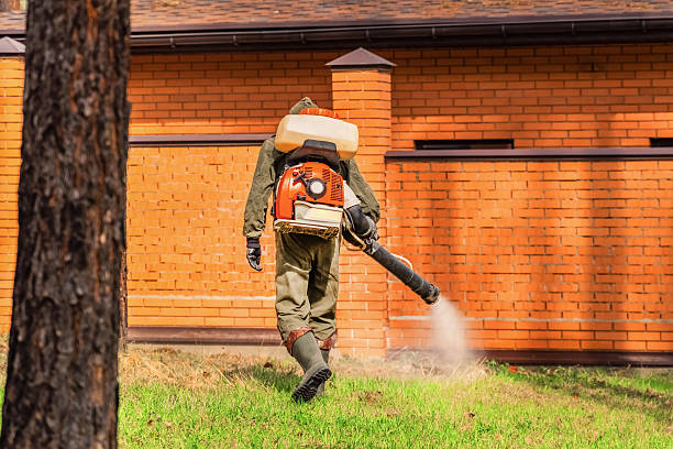 Trusted Termite Control service in Rockwell, NC - Nex Pest Control